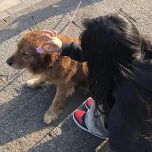 性感美女被干裸
