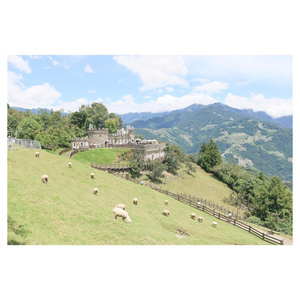 性感美女被干裸
