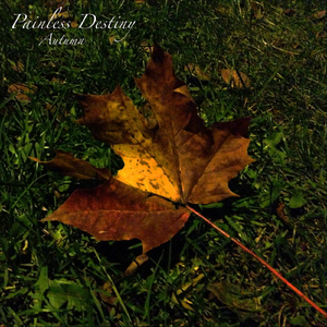 性感美女被干裸
