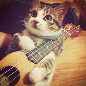 性感美女被干裸
