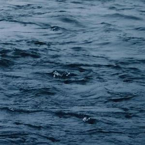 性感美女被干裸
