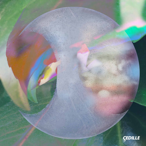 性感美女被干裸
